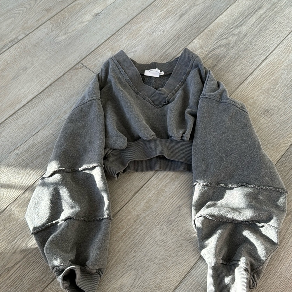 Urban outfitters gray cropped sweatshirt